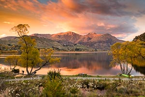 Picture of Arrowtown, Otago, South Island, New Zealand