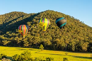 Picture of Hunter Valley, The Hunter, New South Wales, Australia