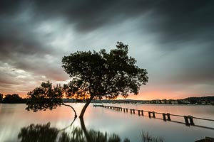 Picture of Green Point, Central Coast, New South Wales, Australia