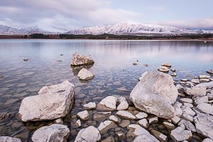 Picture of Lake Tekapo, Canterbury, South Island, New Zealand