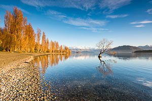 Picture of Lake Wanaka, Otago, South Island, New Zealand