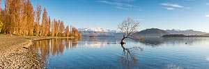 Picture of Lake Wanaka, Otago, South Island, New Zealand