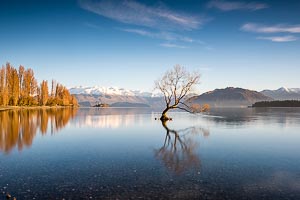 Picture of Lake Wanaka, Otago, South Island, New Zealand