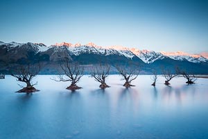 Picture of Glenorchy, Otago, South Island, New Zealand