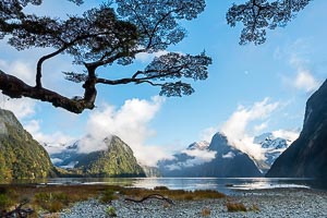 Picture of Milford Sound, Southland, South Island, New Zealand