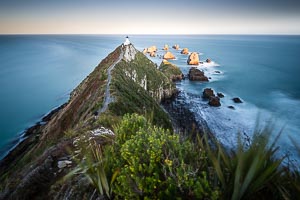Picture of Nugget Point, Otago, South Island, New Zealand