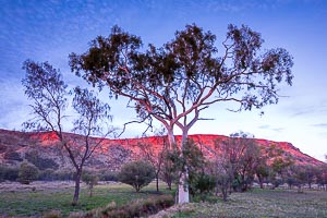 Picture of Alice Springs, Central Australia, Northern Territory, Australia
