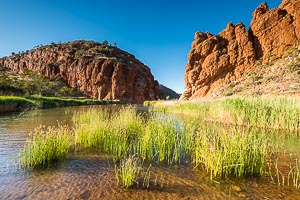 Picture of MacDonnell Ranges, Central Australia, Northern Territory, Australia