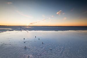 Picture of Lake Hart, Flinders and Mid North, South Australia, Australia