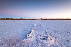 Picture of Lake Hart, Flinders and Mid North, South Australia, Australia