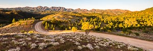 Picture of Flinders Ranges National Park, Flinders and Mid North, South Australia, Australia