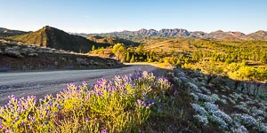 Picture of Flinders Ranges National Park, Flinders and Mid North, South Australia, Australia