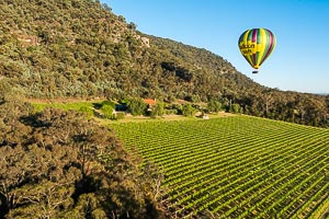 Picture of Hunter Valley, The Hunter, New South Wales, Australia