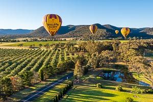 Picture of Hunter Valley, The Hunter, New South Wales, Australia