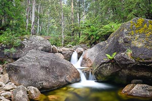 Picture of Mount Buffalo National Park, The High Country, Victoria, Australia