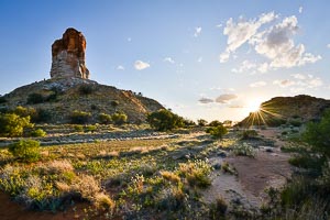 Picture of Chambers Pillar Historical Reserve, Central Australia, Northern Territory, Australia