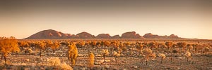 Picture of Uluru Kata Tjuta National Park, Central Australia, Northern Territory, Australia