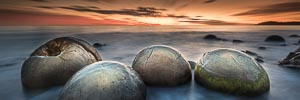 Picture of Moeraki Boulders, Otago, South Island, New Zealand