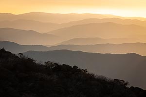 Picture of Mount Buffalo National Park, The High Country, Victoria, Australia