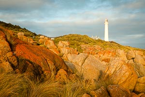 Picture of Croajingolong National Park, Gippsland, Victoria, Australia