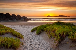 Picture of Wilsons Promontory National Park, Gippsland, Victoria, Australia