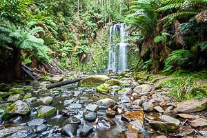 Picture of Beuchamp Falls, Great Otway National Park, Victoria, Australia