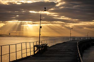 Picture of Esperence, South Coast, Western Australia, Australia