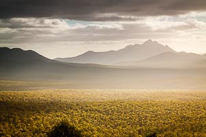 Picture of Stirling Ranges National Park, South Coast, Western Australia, Australia