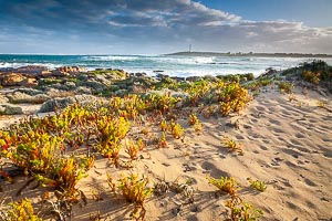Picture of Margaret River, South West, Western Australia, Australia