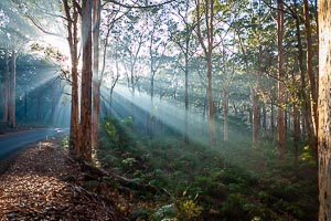 Pictures of Sun Rays