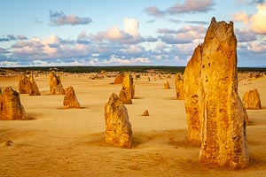 Picture of Nambung National Park, Wheatbelt, Western Australia, Australia