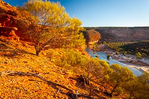 Picture of Kalbarri National Park, Murchison, Western Australia, Australia