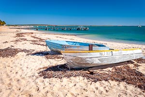 Picture of Shark Bay, Gascoyne, Western Australia, Australia