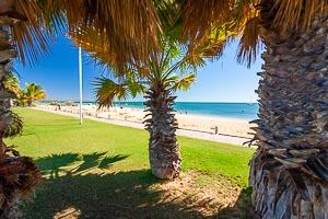 Picture of Shark Bay, Gascoyne, Western Australia, Australia