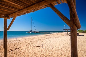 Picture of Shark Bay, Gascoyne, Western Australia, Australia