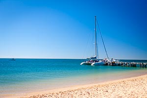 Picture of Shark Bay, Gascoyne, Western Australia, Australia
