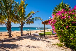 Picture of Shark Bay, Gascoyne, Western Australia, Australia