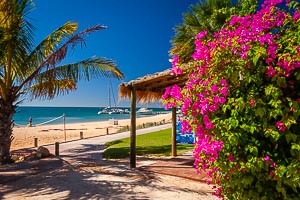 Picture of Shark Bay, Gascoyne, Western Australia, Australia
