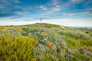 Picture of Quobba, Gascoyne, Western Australia, Australia