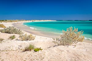 Picture of Cape Range National Park, Gascoyne, Western Australia, Australia