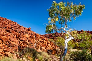 Picture of Murujuga National Park, The Pilbara, Western Australia, Australia