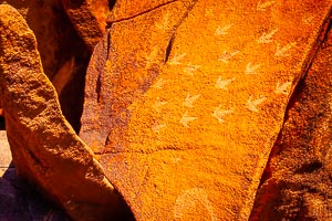 Picture of Murujuga National Park, The Pilbara, Western Australia, Australia