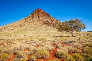 Picture of Millstream Chichester National Park, The Pilbara, Western Australia, Australia