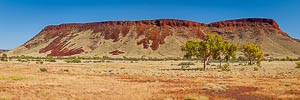 Picture of Millstream Chichester National Park, The Pilbara, Western Australia, Australia