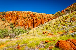 Picture of Millstream Chichester National Park, The Pilbara, Western Australia, Australia