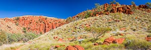 Picture of Millstream Chichester National Park, The Pilbara, Western Australia, Australia