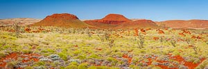 Picture of Millstream Chichester National Park, The Pilbara, Western Australia, Australia