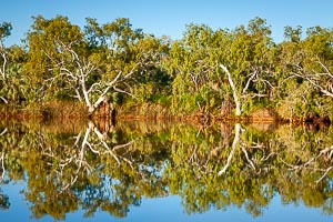 Picture of Millstream Chichester National Park, The Pilbara, Western Australia, Australia