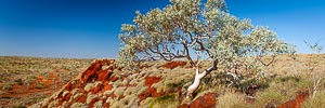 Picture of Millstream Chichester National Park, The Pilbara, Western Australia, Australia