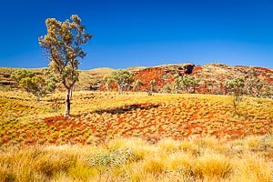 Picture of Pilbara Outback, The Pilbara, Western Australia, Australia